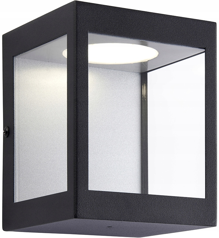 Vonkajšie fasádne svietidlo - ENDON Dean 90413 Nástenná lampa 1x10W / LED IP44 4000K
