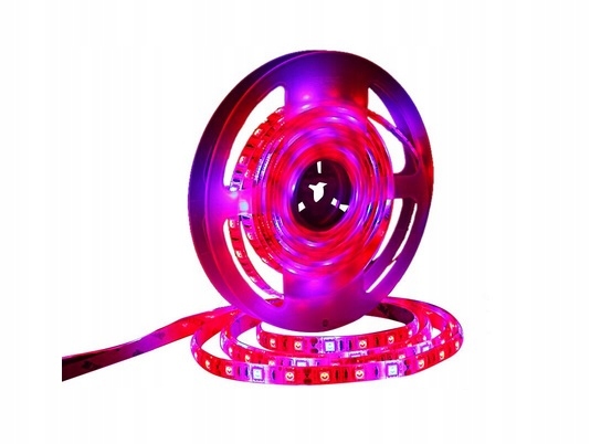 Osvetlenie pre rastliny - TASMA LED 5050 IP65 5M Rastlina Rast Rosline 4: 1